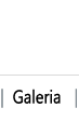 Galeria fotografica